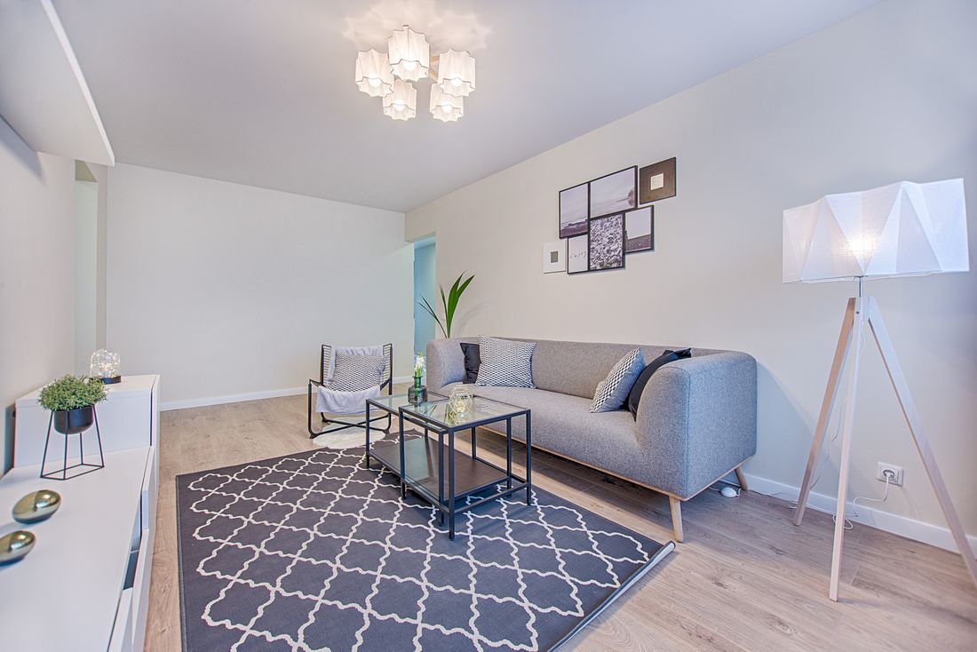Clean, light-filled modern apartment living room with a grey sofa and rug — personal belongings a renters policy helps protect